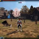 다제스팜 이미지