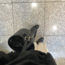 멜리멜로 Daum카페