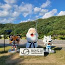 태랑태권도장 | 무주 태권도원 공연 모노레일 전망대 국립태권도박물관