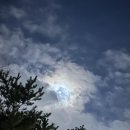 동해물과백두산이 | 입춘때 밤은 마른 풀 사르는 냄새가 난다