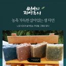 미인시대