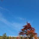 광릉숲이야기 캠핑장