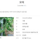 남창원농협 경제사업소 이미지