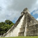 드림스포츠아카데미 이미지