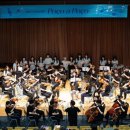 뽀꼬뽀꼬 이미지