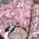 이준호농장 이미지