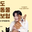 (사)대한산업보건협회경북지역본부 데일리벳