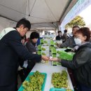 반딧불마트 이미지