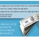 포모인 이미지