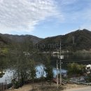 아이폰7 카메라 성능 테스트 - 동영상 움직임, 줌, 야간 등
