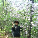 샘재로 4 이미지