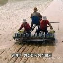 원화농장 이미지