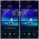 토생이 이미지