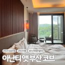 아난티 앳 부산 코브호텔 | 부산 아난티 앳 부산 코브 호텔 마운틴뷰 숙박후기 할인방법