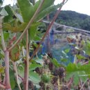 사하구 홍티로 이미지