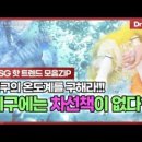 에쓰비