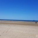 미씨엘로 이미지