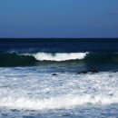 동해바다 이미지