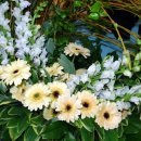 성전2호 이미지