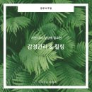 나비글로벌네트워크 이미지