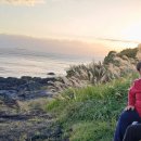 제주도 2025가을일기 18. 겨울로 가는 길목, 공약의 의무 이미지