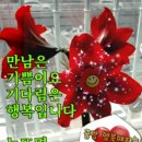 오늘테라피 이미지