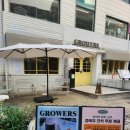 도곡 | 도곡동 브런치맛집, 그로어스 도곡 파스타 및 브런치 후기