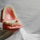 광명77플란트치과의원 이미지