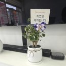 본컴퍼니
