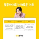안경상회 네이버블로그
