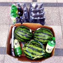 함양 영취산-부전계곡 (계곡트레킹,오지산행,약초산행,물놀이) -대전여행과산행-