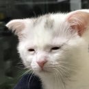 혼자서 즉흥으로 강릉 당일치기 뚜벅이 여행 (하루전 ktx 예매)