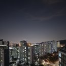 대박이네 | 갤럭시 S26 플러스 후기 AI 카메라 기능 대박이네! KT 혜택 총정리