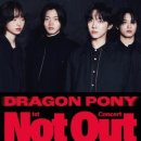 2025.05.03-04 드래곤포니 콘서트 후기 이미지