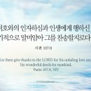 오늘의 &#39;영어성경 사진&#39;(631강) “주님께 감사하세요”(시편 107편 8절) 이미지