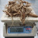 산양삼 8년근 파삼 판매합니다. 이미지