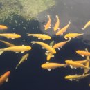 주식회사알록 이미지