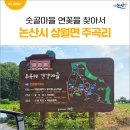 논산시 상월면 주곡리 경로당 | 논산시 상월면 주곡리, 숫골마을 연꽃을 찾아서