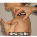 비스타짐 이미지