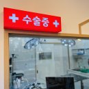 수원 오즈동물병원 이미지