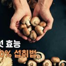 [백 년 습관] 진시황의 불로초 버섯, 맞춤 처방전 ~ 이미지