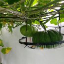 청중로84번길 이미지