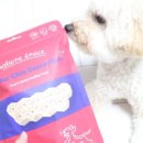 까르치아 이미지