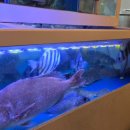 산호대로29길-7 이미지