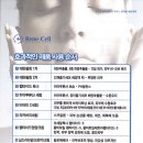 르네셀 이미지