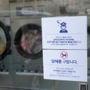 화이트365비산 이미지