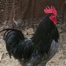 청계슈퍼 이미지