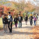 금강헤어아트 이미지