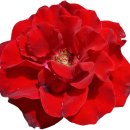 가을환경 이미지