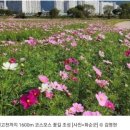 벌고천 이미지